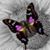Sammi Osburn's profile image