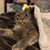Martina Spilman's profile image