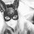 Christine Vasquez's profile image