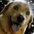 Dave Nunes's profile image