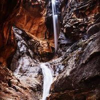 Dee Scher's profile image