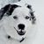 Sheri Brady's profile image