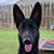 Korinda Edwards's profile image
