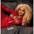 Niki Wheeler-McRoy's profile image