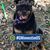 Donna Jean Hess's profile image