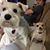 Tonda Norris Walters's profile image