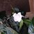 Kim Tumey Varney's profile image