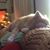Thomasine Williams's profile image