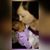 Tara Paszkiewicz's profile image