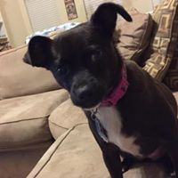 Loretta Riley's profile image