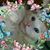 Donna Parker's profile image