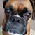 Bridgette Seal's profile image