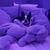 Tammy Wescott's profile image