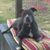 Candy Nethercott's profile image