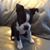 Beth Buchta's profile image