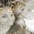 Patricia Kocurek's profile image