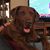 Tina Kozitza Willson's profile image