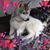 Susan Searle's profile image