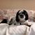 Judy Tholstrup's profile image