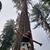 Maryalba Acuna's profile image