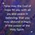 Karen Shelton Freyer's profile image