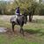 Alex Stonebridge-Baumer's profile image