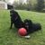 Scott Ferri's profile image