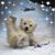 Connie Goetz's profile image