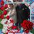 Cheryl Gunnarson's profile image