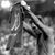 Abdeldjalil Kherbouche's profile image