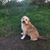 Reba Rebel's profile image