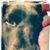 Greg Timmons's profile image