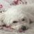 Joy Johnson's profile image