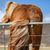 Jerrie Triplett Goodwin's profile image