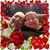 Donny Utsinger's profile image