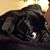 Scott Shaffer's profile image