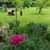 Deb Peterson-pallett's profile image