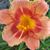 Kathy Kramer Villhauer's profile image