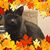 Vicki Parker's profile image