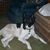 Lloyd Heiston's profile image