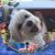 Stacy Johnson Wallner's profile image