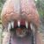 Dee-Scott Livingston's profile image