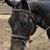 Patti Tasker Mandel's profile image