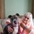 Amy Watts Keel's profile image