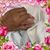 Lyla Dayrit's profile image