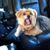 Ossie Ekerling's profile image