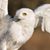 Marilyn Brewer Stevens's profile image