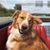 Debbie Herron Malone's profile image