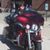Lori Belle's profile image