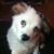 Amy Jansen's profile image